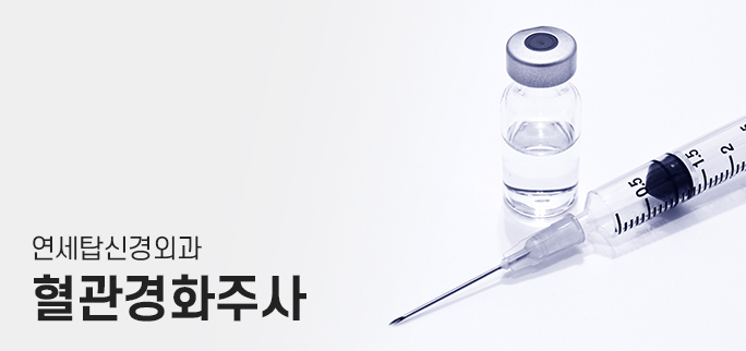 혈관경화주사